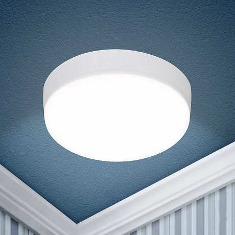 ЭРА Светильник светодиодный LED 15-24-6K накладной круглый 24Вт 6500К