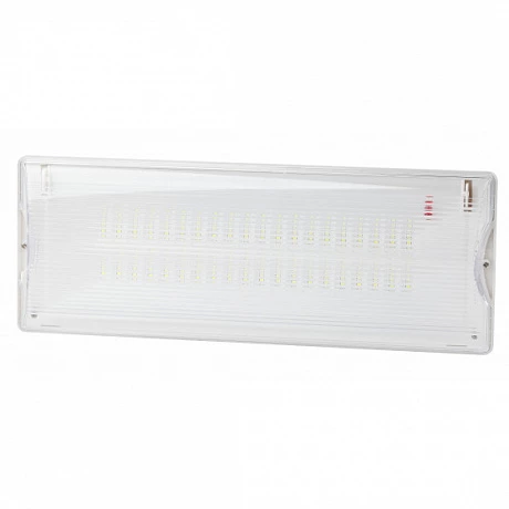 ЭРА Аварийный светильник светодиодный DPA-301-1-65 постоянный 40LED 3ч IP65 NiCD