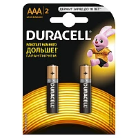 Duracell 5006609 Алкалиновая батарейка типа AAA  LR03 / MN 2400 LR03-2BL BASIC CN