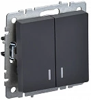 IEK BRITE Выключатель 2-клавишный с индикацией 10А ВС10-2-1-БрГ графит