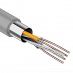 Кабель FTP 2PR 24AWG CAT5e 305м CCA PROCONNECT Rexant
