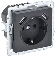 IEK BRITE Роз. с з/к/ш 16А с USB A+A 3,1А РЮш10-2-БрГ граф.